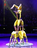 a IMG_0319.jpg